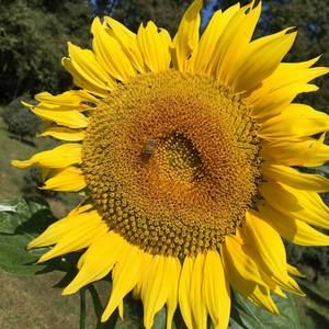 Meet your Posher, Terri